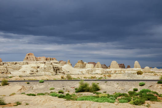 新疆克拉玛依魔鬼城沙漠植物图片素材免费下载