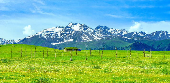雪山草原风景图片素材免费下载