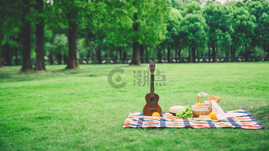户外绿草地上野餐图片素材免费下载
