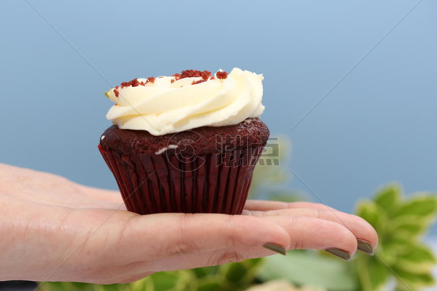 纸杯蛋糕cupcake图片素材免费下载
