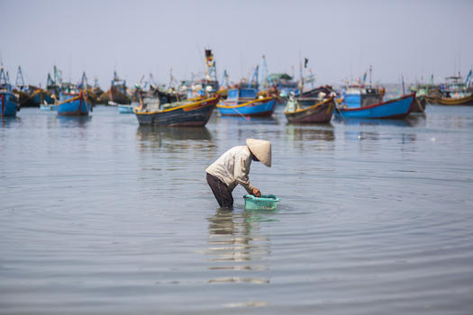 海边渔民在专注的劳作图片素材免费下载