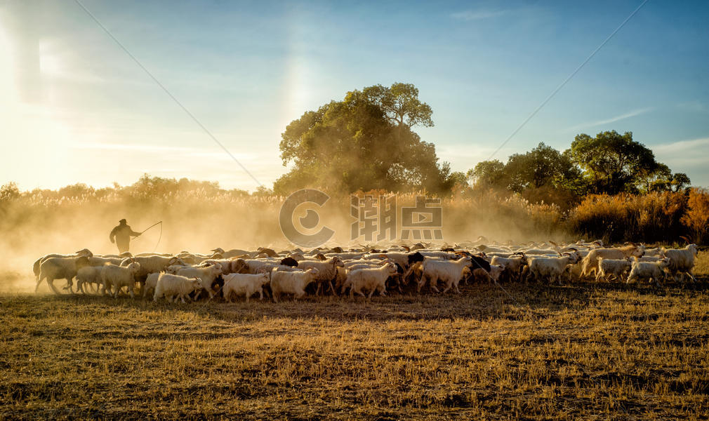 草原放羊人牧归图片素材免费下载