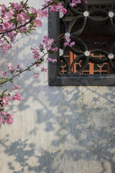 中国元素传统窗和鲜花搭配图片素材免费下载