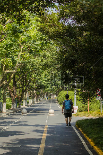 大学校园大学生走路背影图片素材免费下载