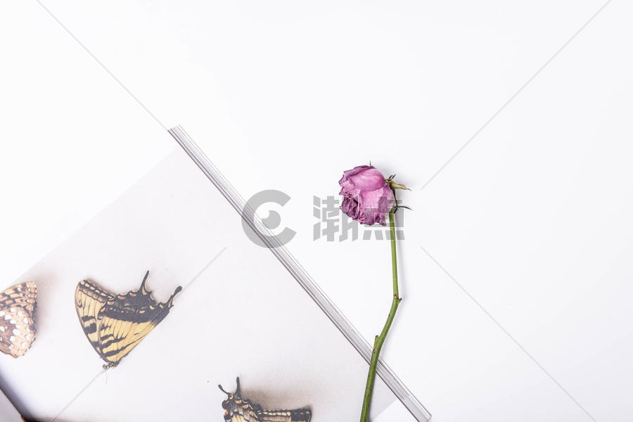 桌面上的书和玫瑰花图片素材免费下载