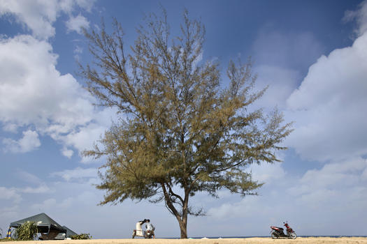 旅行到普吉岛在蓝天大树下有情侣图片素材免费下载