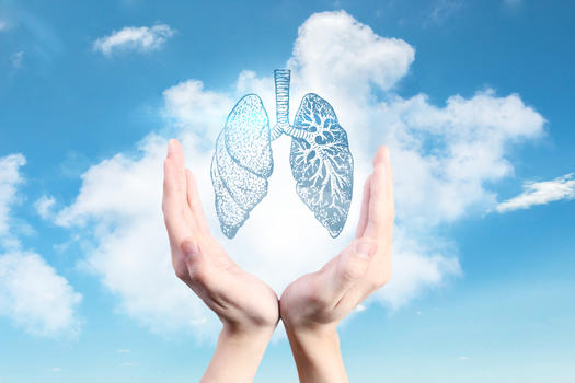 净化空气保护肺图片素材免费下载