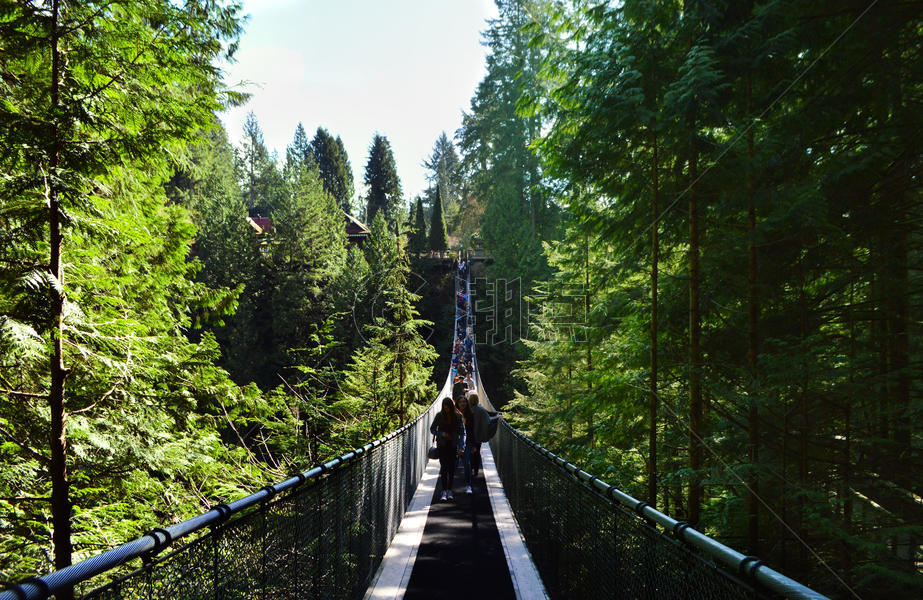加拿大皮卡拉诺吊桥公园图片素材免费下载