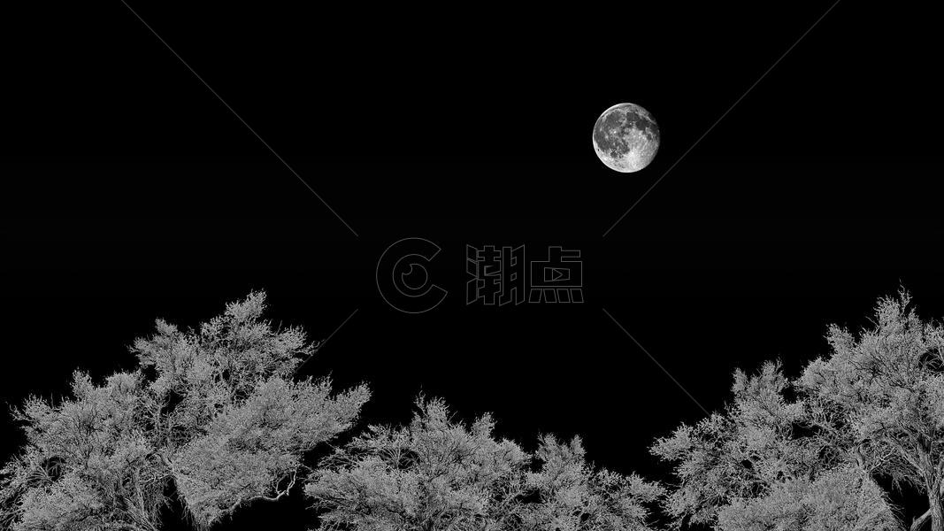 夜空中的月亮图片素材免费下载