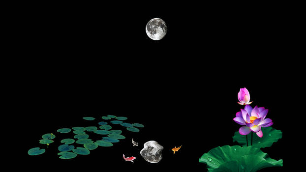 荷花池中的月亮倒影图片素材免费下载
