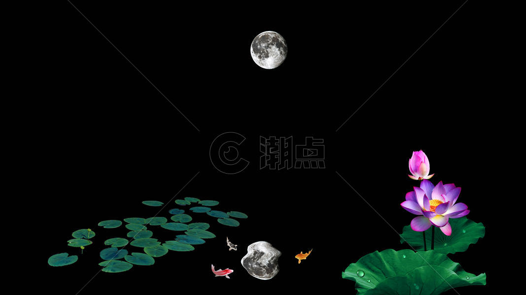 荷花池中的月亮倒影图片素材免费下载