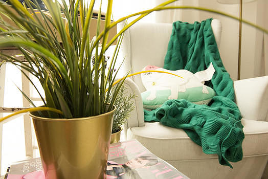 客厅的沙发和绿植图片素材免费下载