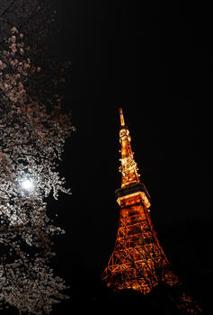 东京铁塔夜景图片素材免费下载
