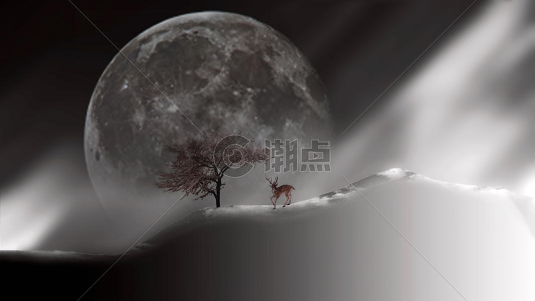 月亮下的小动物图片素材免费下载
