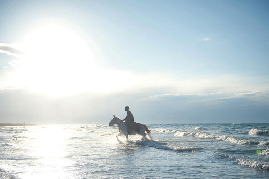 青海湖里骑马的男孩图片素材免费下载