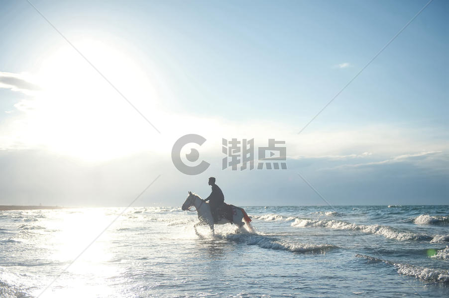 青海湖里骑马的男孩图片素材免费下载