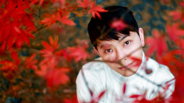 枫叶下的男孩图片素材免费下载