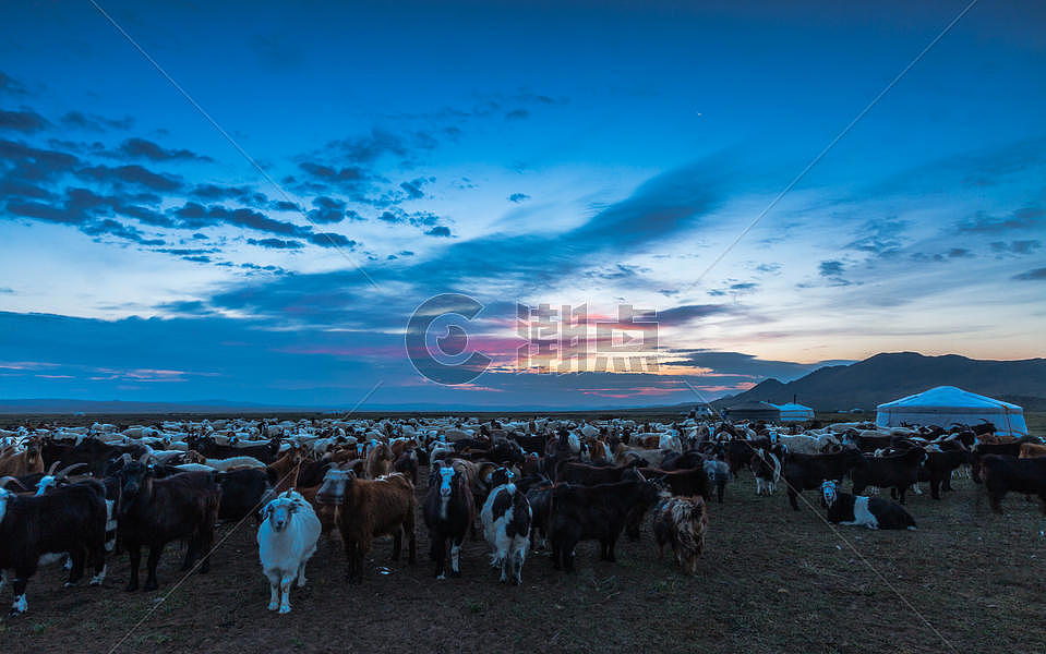 蒙古草原上的羊群图片素材免费下载