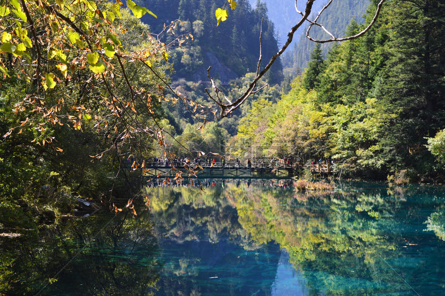 九寨沟五花海风景照片摄影图5464*3633图片素材免费下载-编号707007-潮点视频