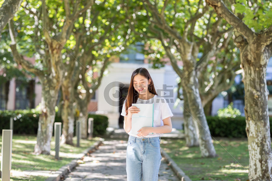 走在校园林荫道下的甜美女生图片素材免费下载