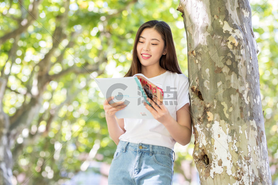 校园里靠在大树边看书的女生图片素材免费下载