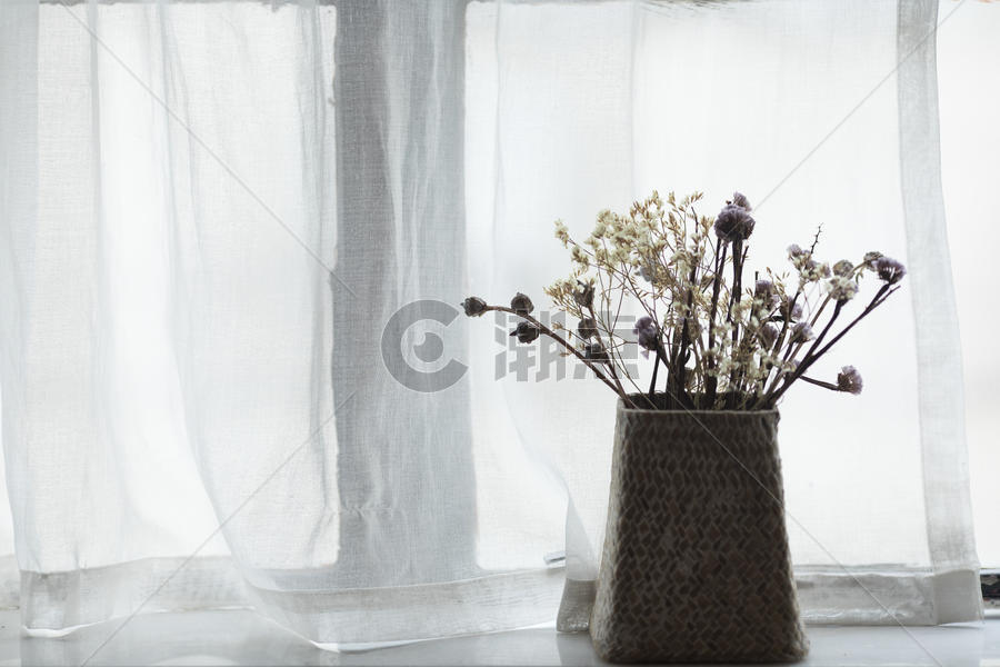 窗台上幽静的小花图片素材免费下载