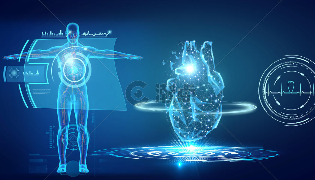 医疗人体心脏解析图片素材免费下载