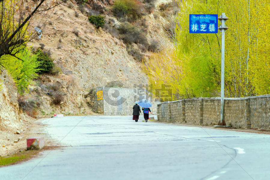 西藏林芝镇公路图片素材免费下载