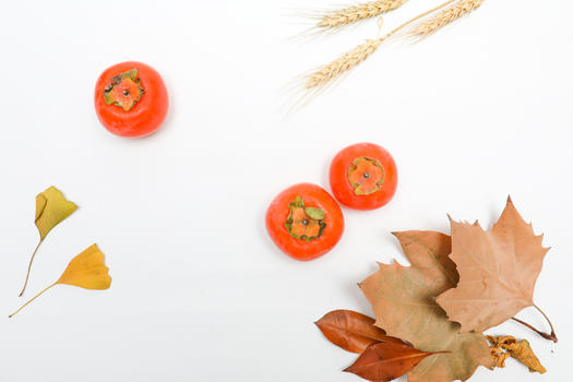 秋天熟透了的柿子图片素材免费下载