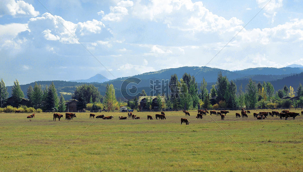 国外的牧场草坪图片素材免费下载