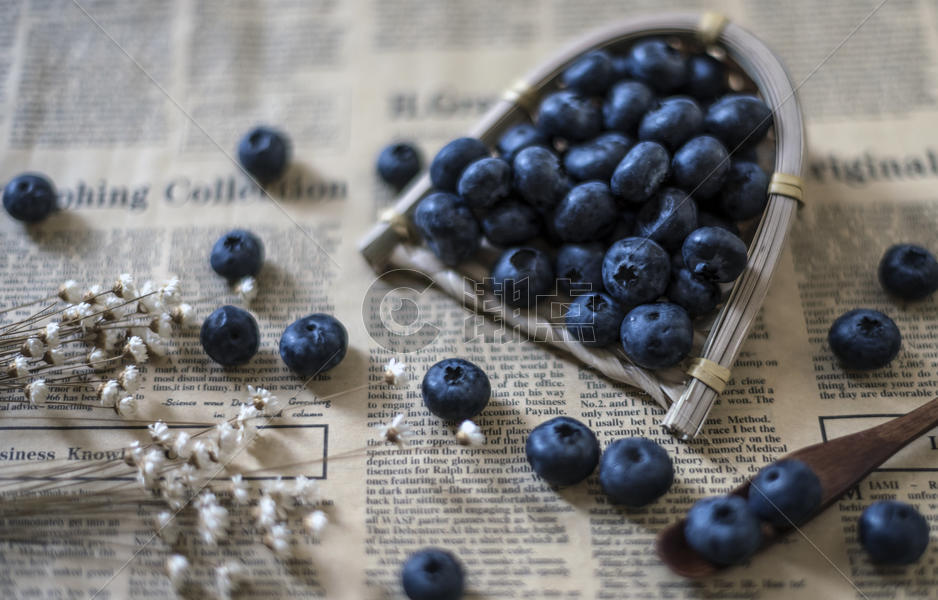 蓝莓浆果图片素材免费下载