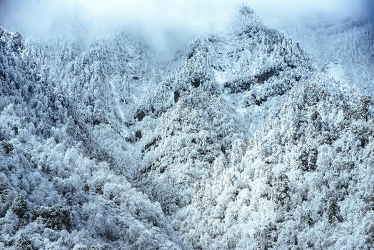 川西雪景图片素材免费下载