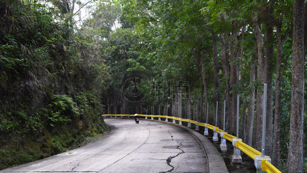 菲律宾薄荷岛热带雨林唯美照片椰林图片素材免费下载