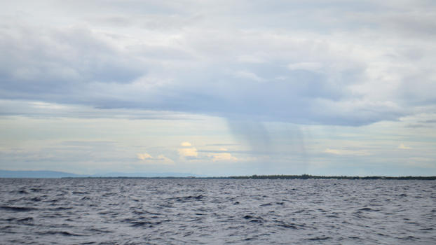 菲律宾薄荷岛出海寻找海豚图片素材免费下载