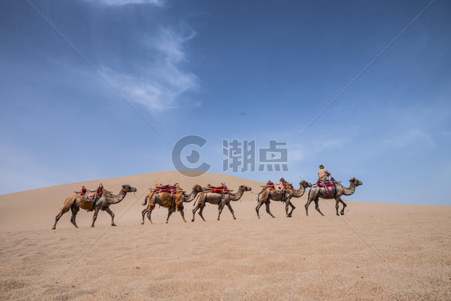 敦煌沙漠骆驼图片素材免费下载