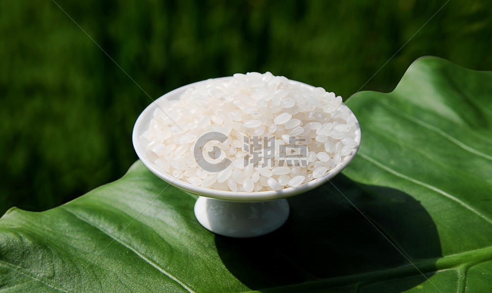 东北大米珍珠米新米五常大米图片素材免费下载