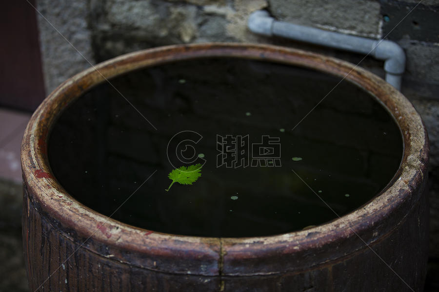 缸水上绿叶子图片素材免费下载