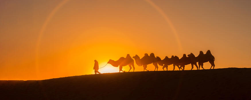 日出骆驼图片素材免费下载