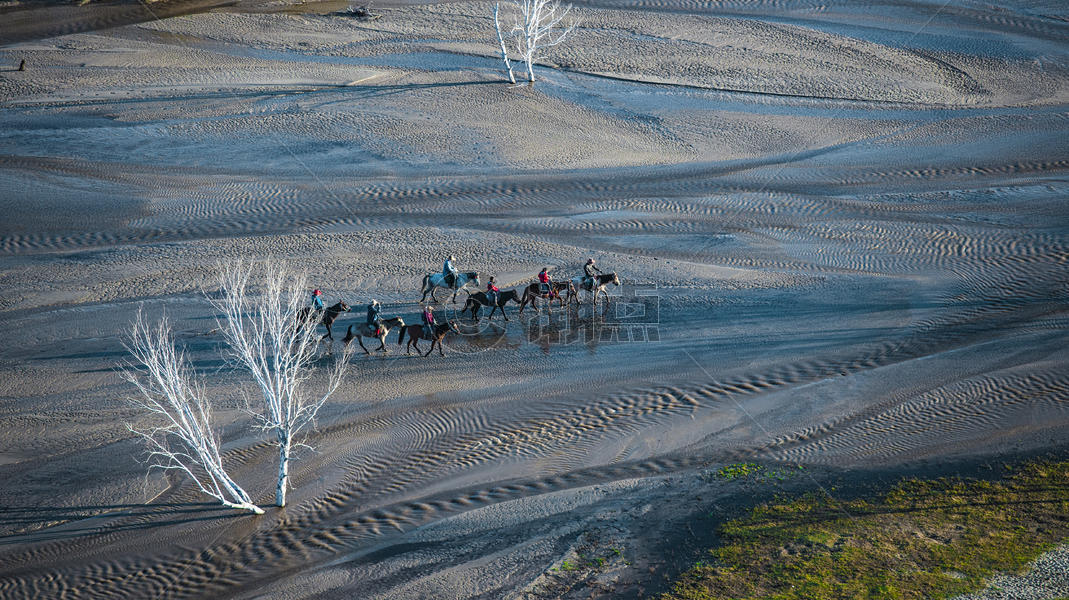 内蒙古坝上的马队图片素材免费下载
