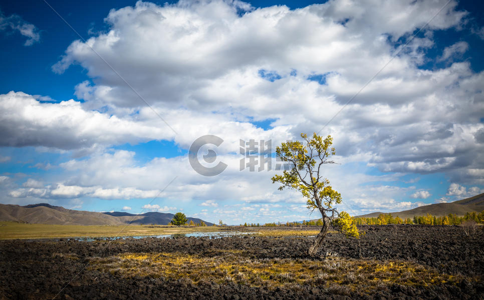  辽阔草原上一棵孤独的树 秋天里的树图片素材免费下载