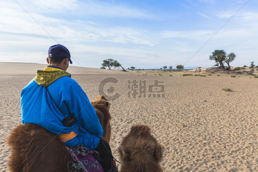 沙漠里骑行骆驼图片素材免费下载