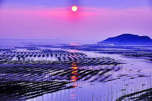 中国最美滩涂——霞浦风光图片素材免费下载