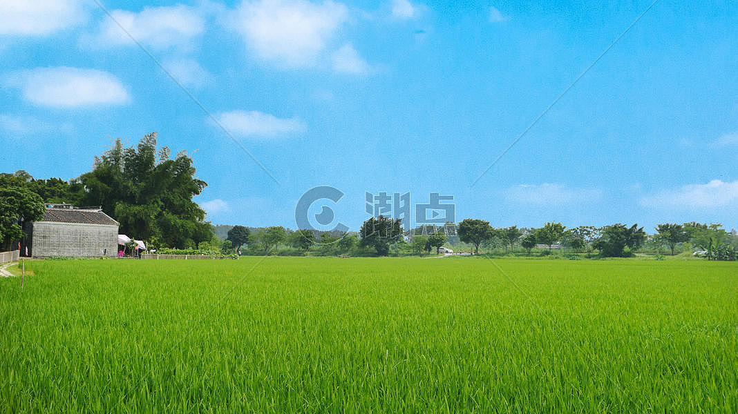 稻之仙境图片素材免费下载