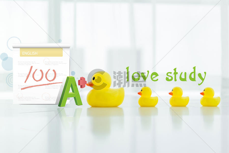 爱学习的鸭子图片素材免费下载