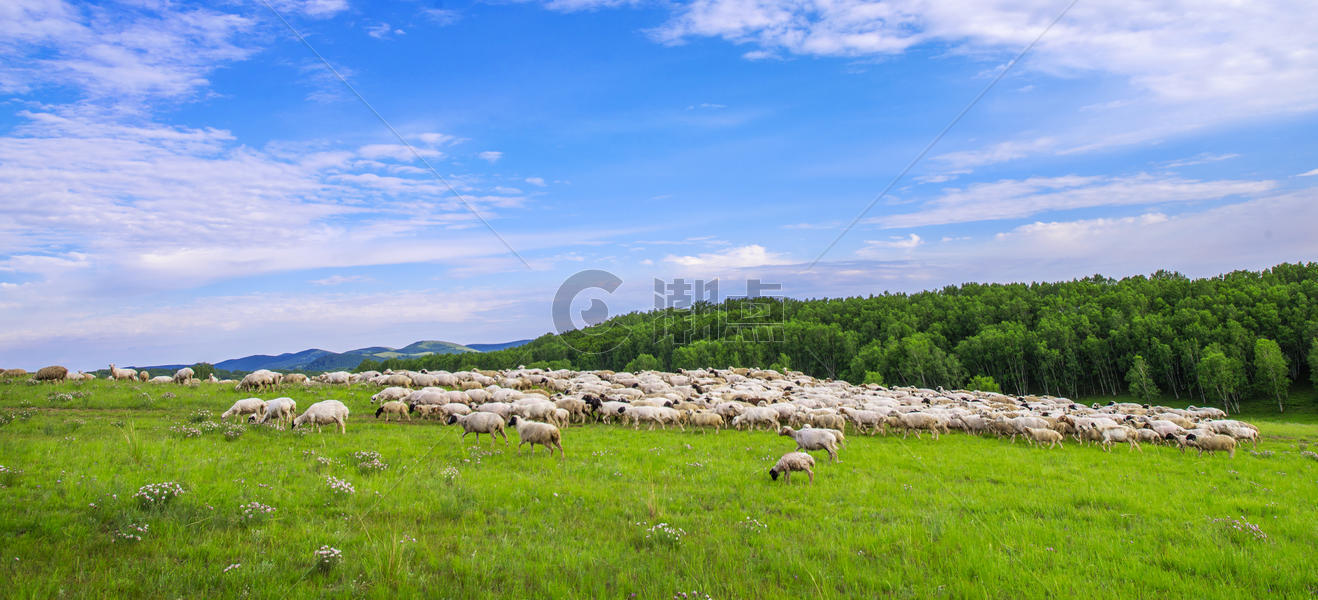 草原羊群图片素材免费下载