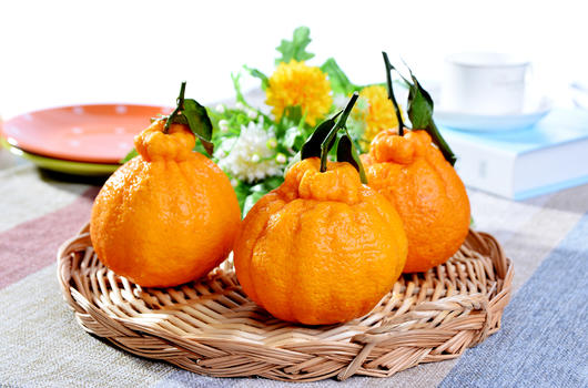 丑柑橘子新鲜水果图片素材免费下载
