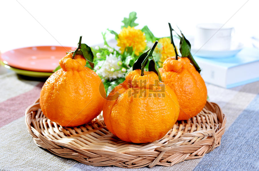 丑柑橘子新鲜水果图片素材免费下载