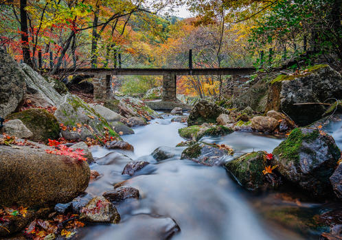 森林公园中红叶溪水山谷图片素材免费下载