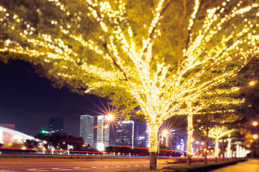 路边被灯串装扮的树城市夜景图片素材免费下载