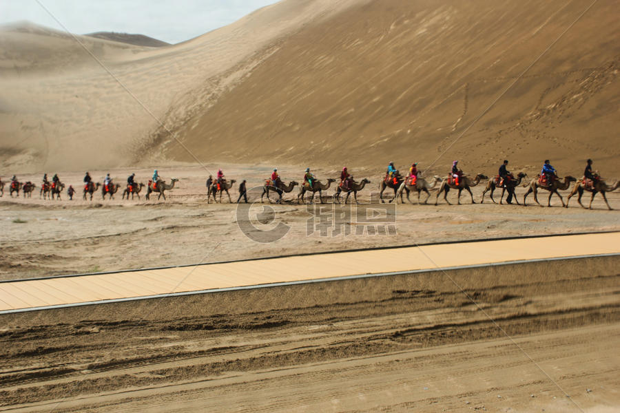 沙漠里的骆驼队图片素材免费下载